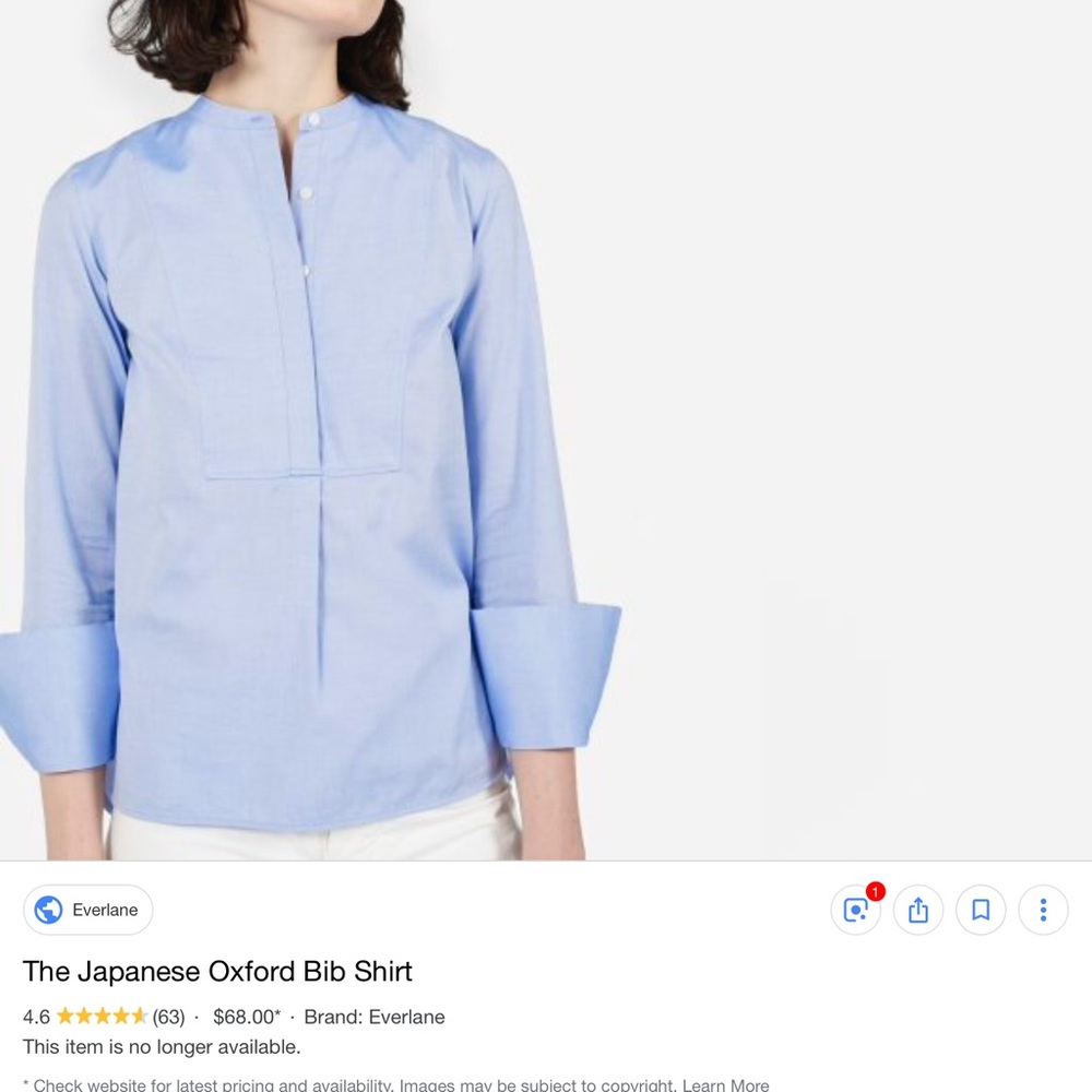 Everlane Japanese oxford bib shirt